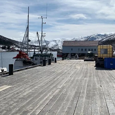 Sjotunbrygge Pensión Sjotun